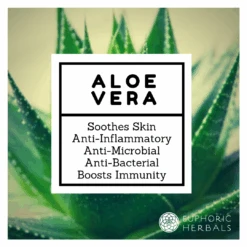 Gaia -Gaia ALOEVERABENEFITSIMAGE