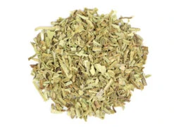 Gaia 41 Aloe Vera Leaf(Aloe Vera Leaf)