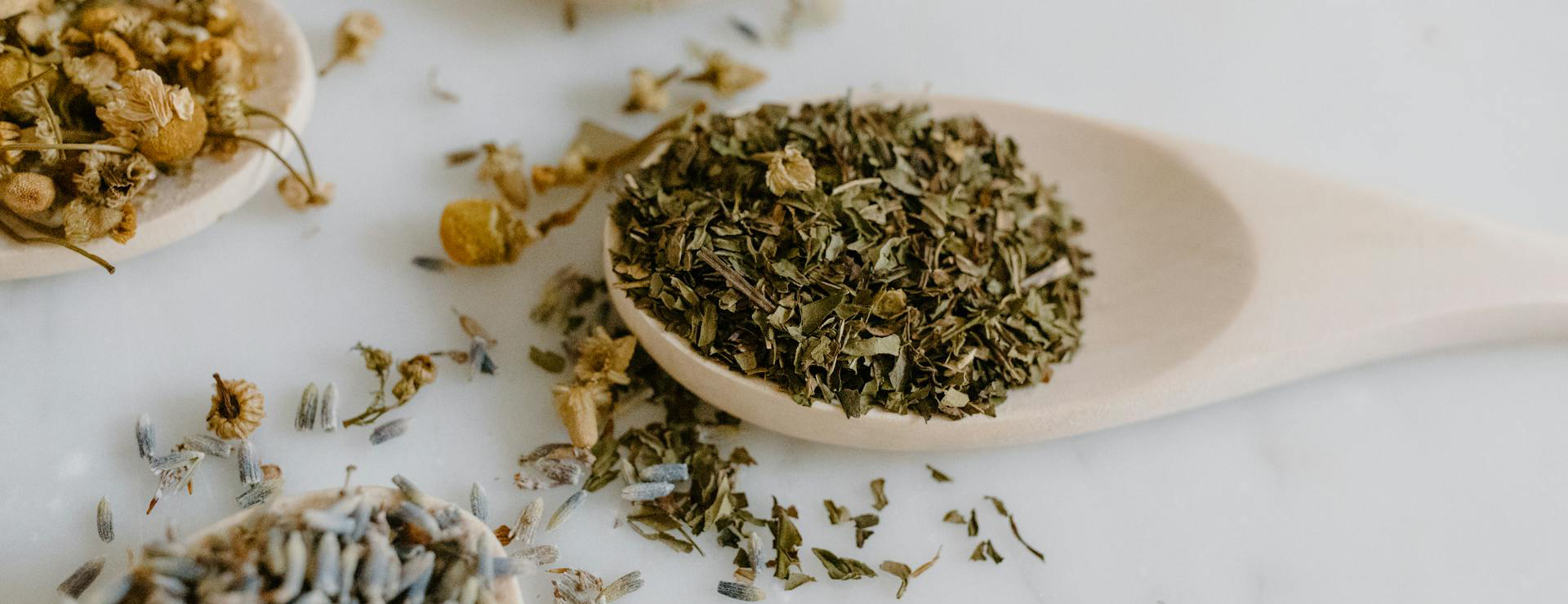 Gaia 3 Gaia -Gaia pexels tara winstead 6694156